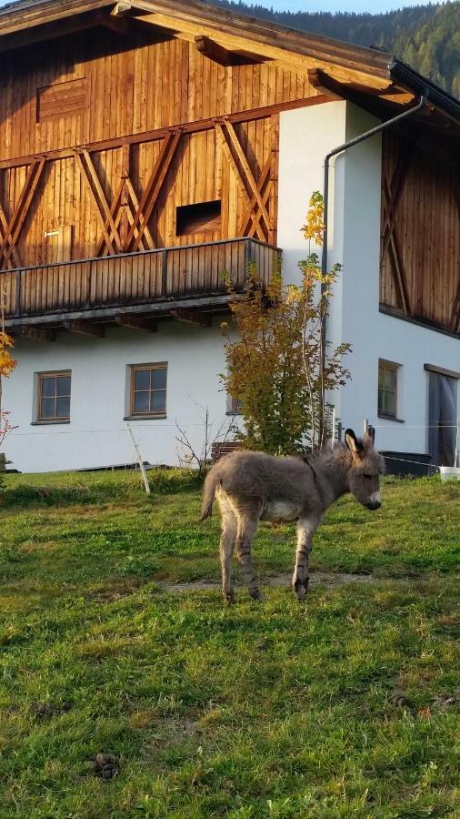 Appartements Josef Lercher Innichen Exterior foto